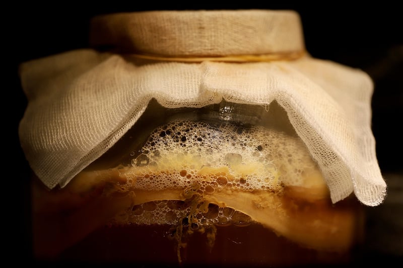 Fermented Foods